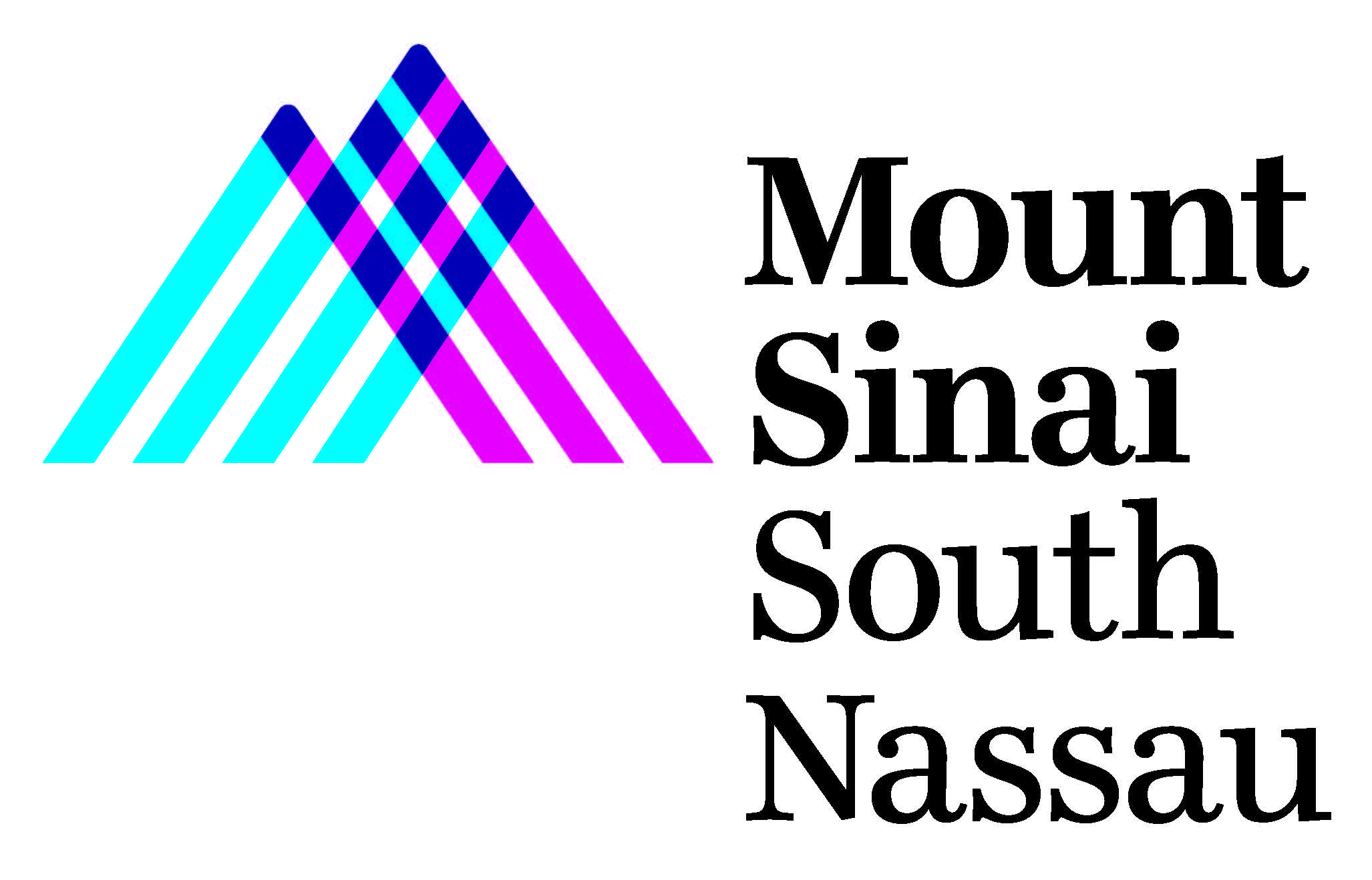 Mount Sinai South Nassau Logo